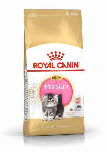 מזון יבש לחתול רויאל קנין פרסי 10 ק”ג